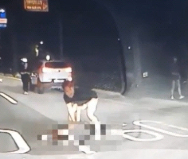 구조 중인 반윤혁 경장[통영해양경찰서 제공]